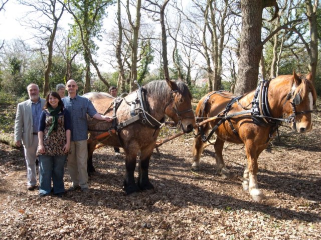 Dick Walters (in blue) horse logging in an ancient wood