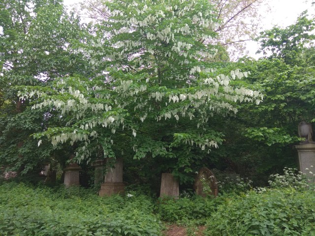 img_20180512_091958_original