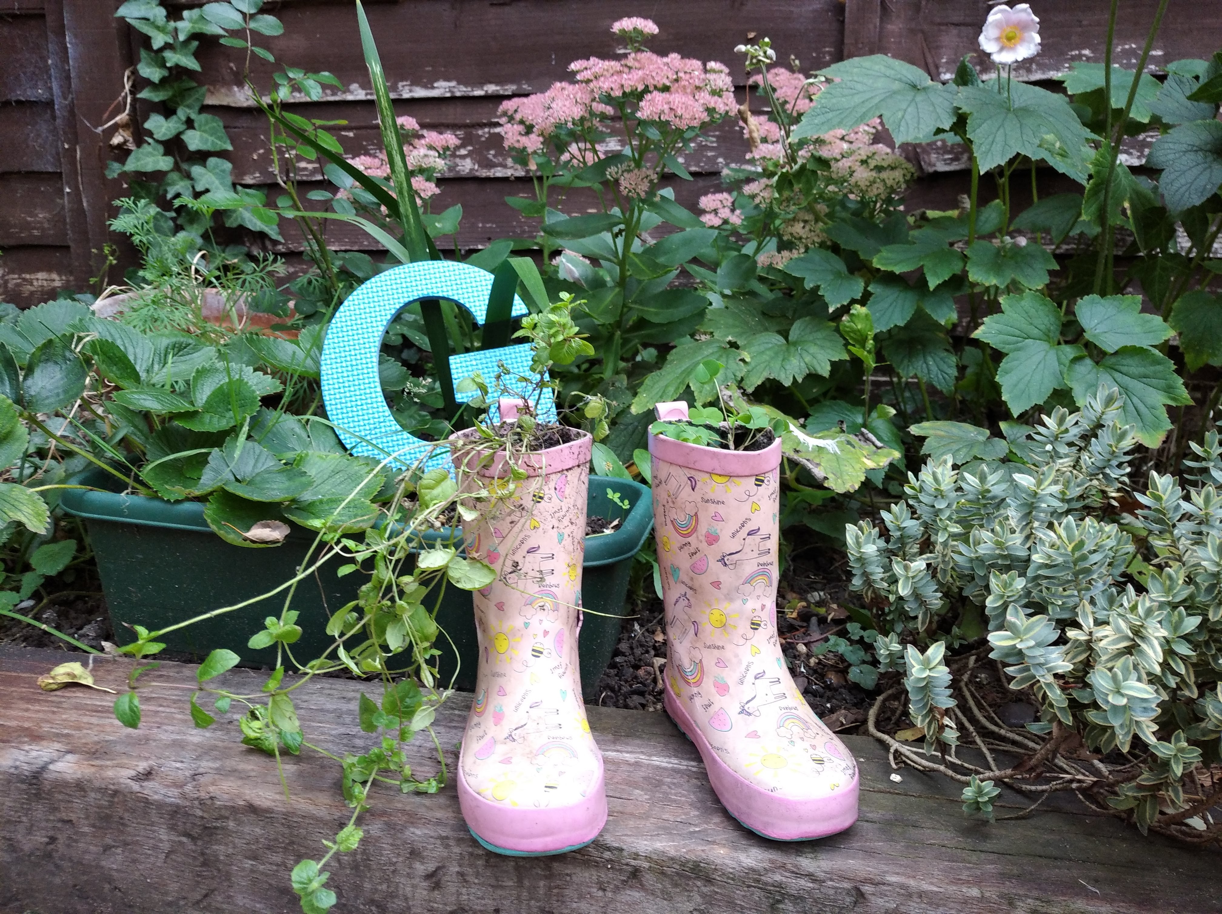 recycled welly boot planters in garden