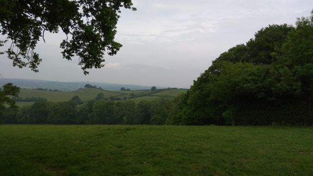 view of green fields, hedges and hills