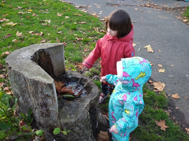 two children poke leaves with a stick in a tree trunk