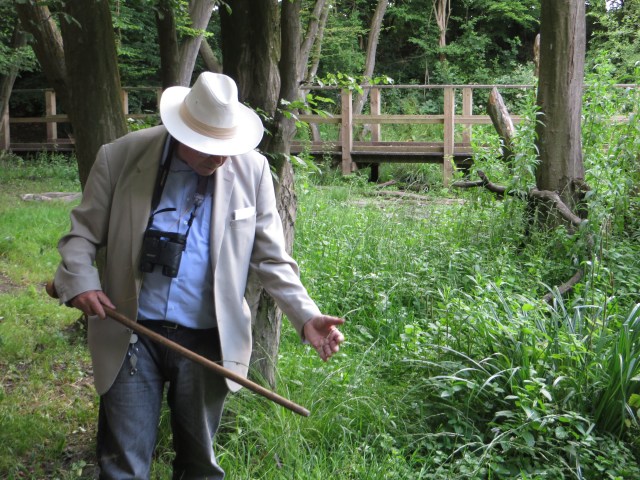 man discussing woodland flora