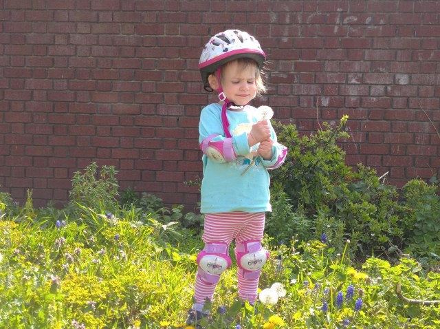 child blowing dandelion clock on verge