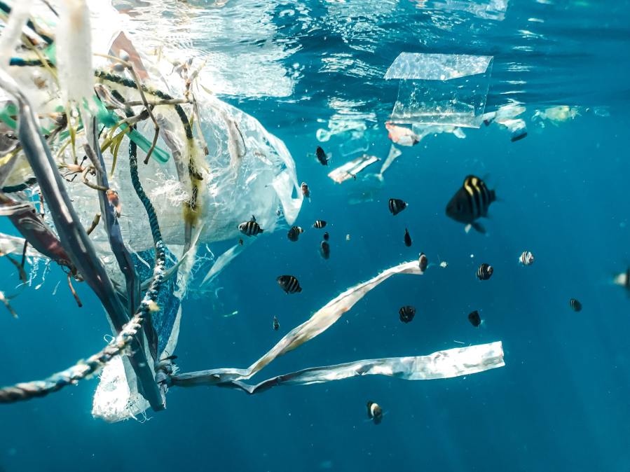 plastic rubbish in the ocean