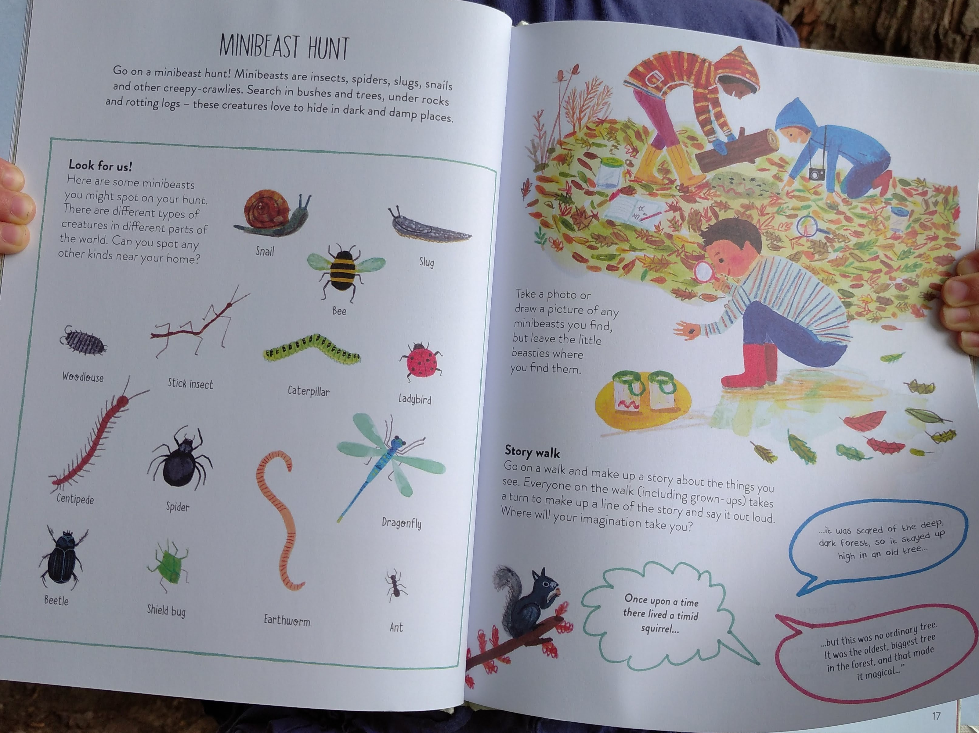 Mini-beast Hunt