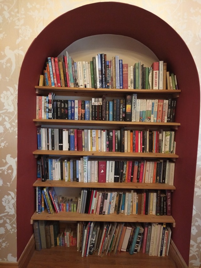 bookcase in arch